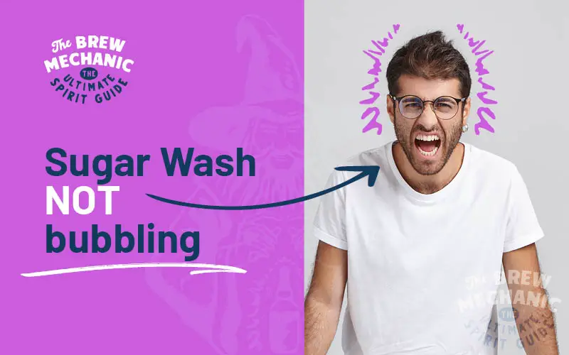 Find out the causes for sugar wash not bubbling.