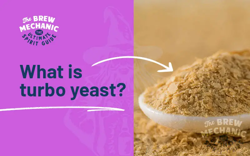 We explain what is turbo yeast is best for. 