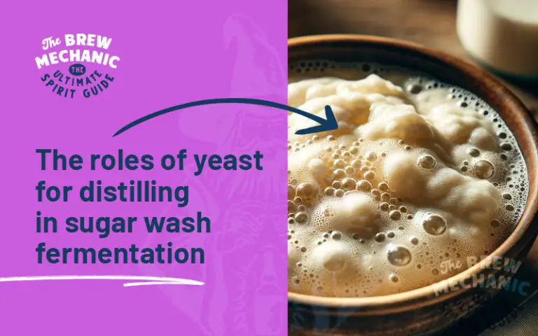 The roles of yeast for distilling in Sugar Wash fermentation. EXPLAINED!