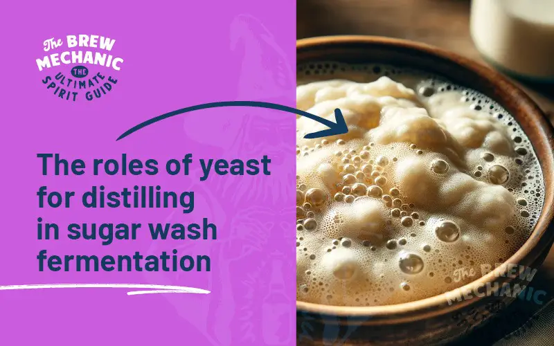 We explain the roles of yeast for distilling in sugar wash batches.