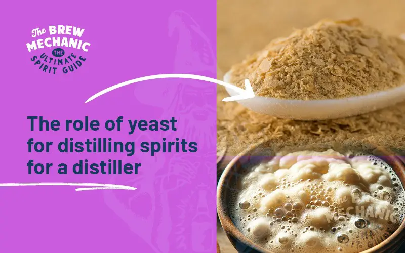 The role of yeast for distilling spirits is key getting a good fermentation