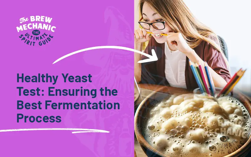 Have a yeast test ensures the best fermentation process