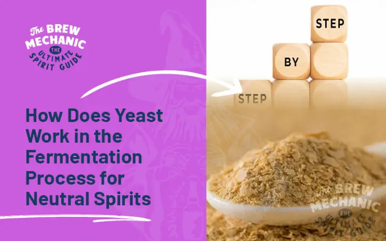 How Does Yeast Work in the Fermentation Process for Neutral Spirits