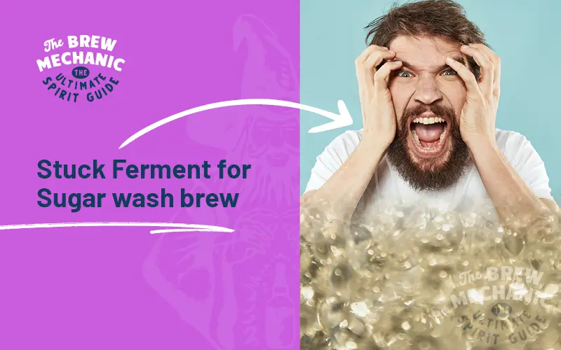 stuck ferment can be frustrating but we point the main reasons for it happening.