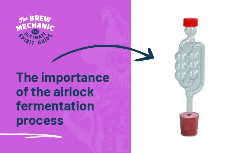 airlock fermentation process plays key role in taking out the CO2