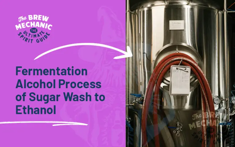 fermentation alcohol process explained by common questions